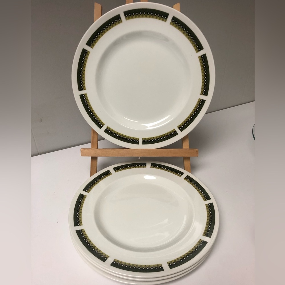 Vintage Swinnertons “Padua” 10” Dinner Plates Set of 4 Ironstone Made in England